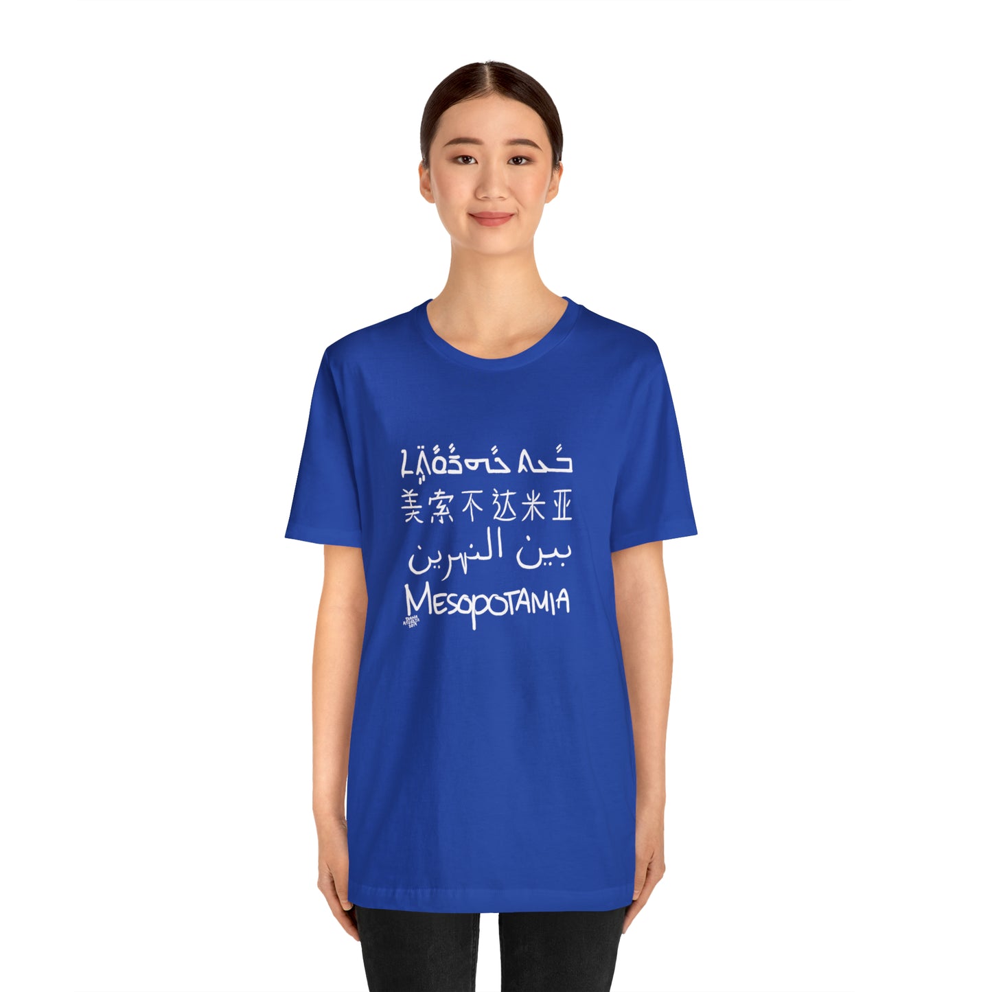 Mesopotamia Rosetta - Unisex Cotton T-Shirt