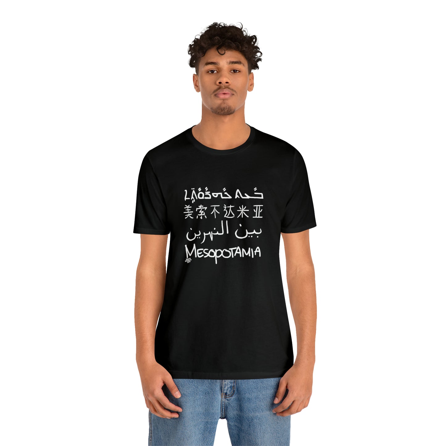 Mesopotamia Rosetta - Unisex Cotton T-Shirt