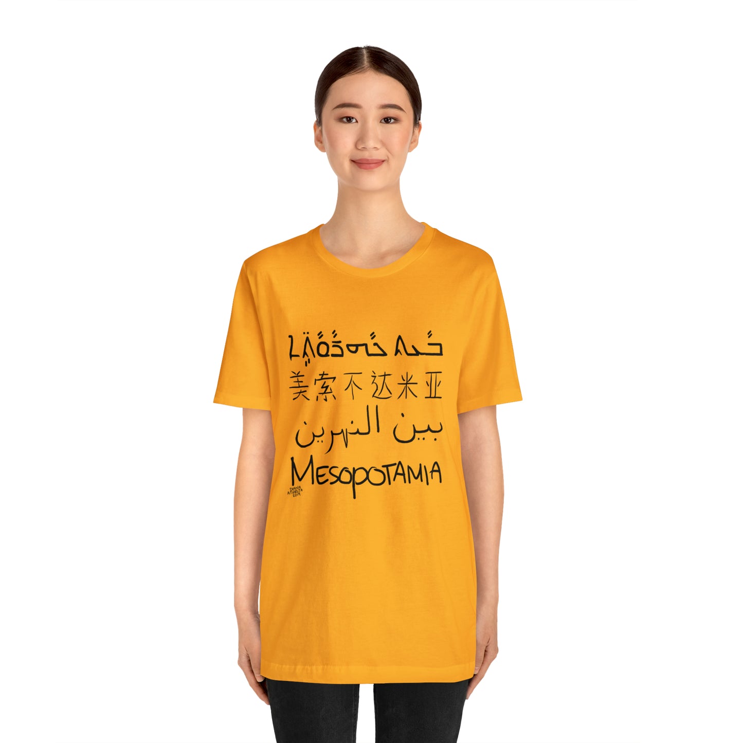 Mesopotamia Rosetta - Unisex Cotton T-Shirt
