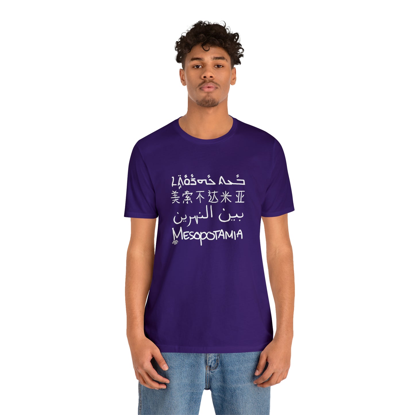 Mesopotamia Rosetta - Unisex Cotton T-Shirt