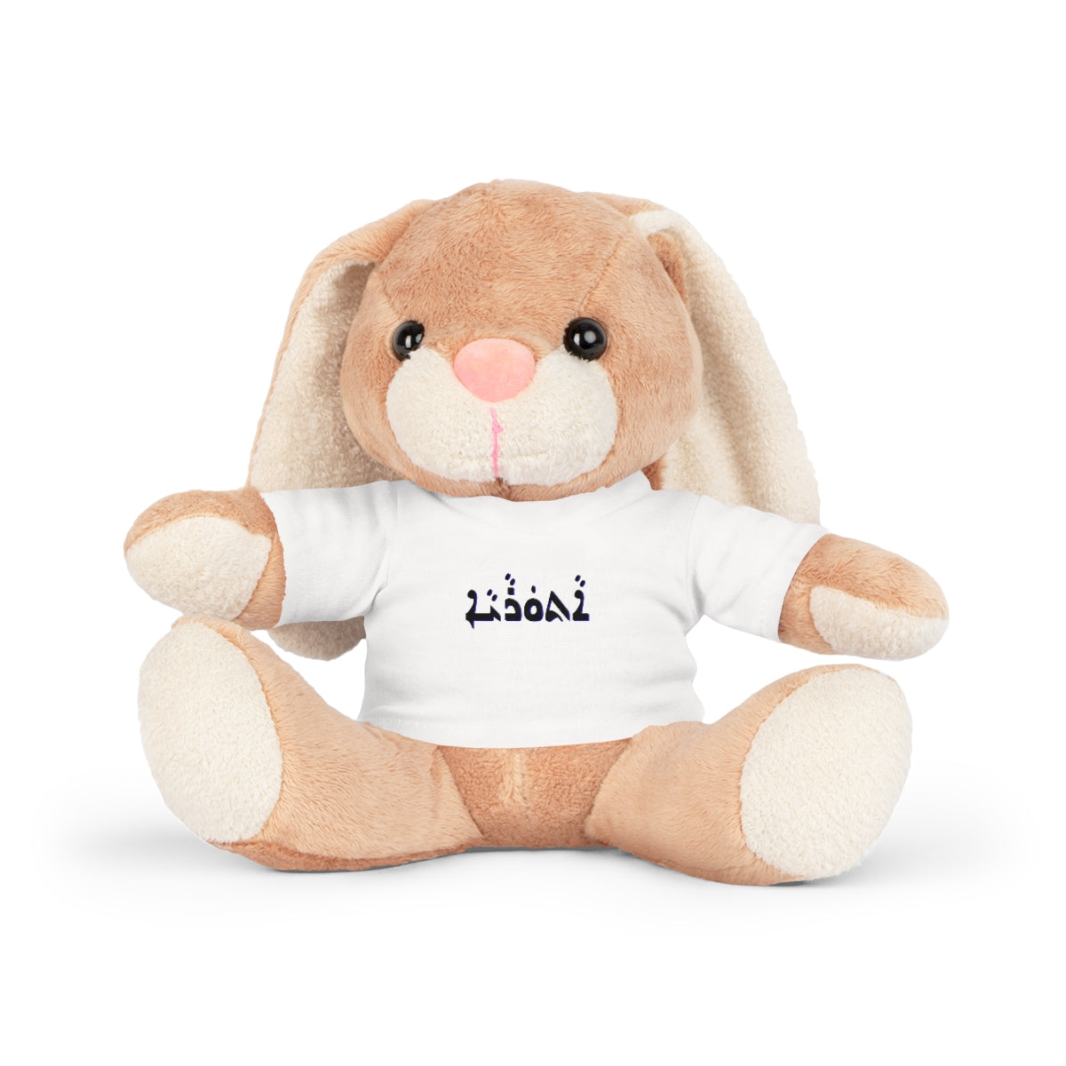Aturaya - Assyrian Script on Plush Toy with T-Shirt