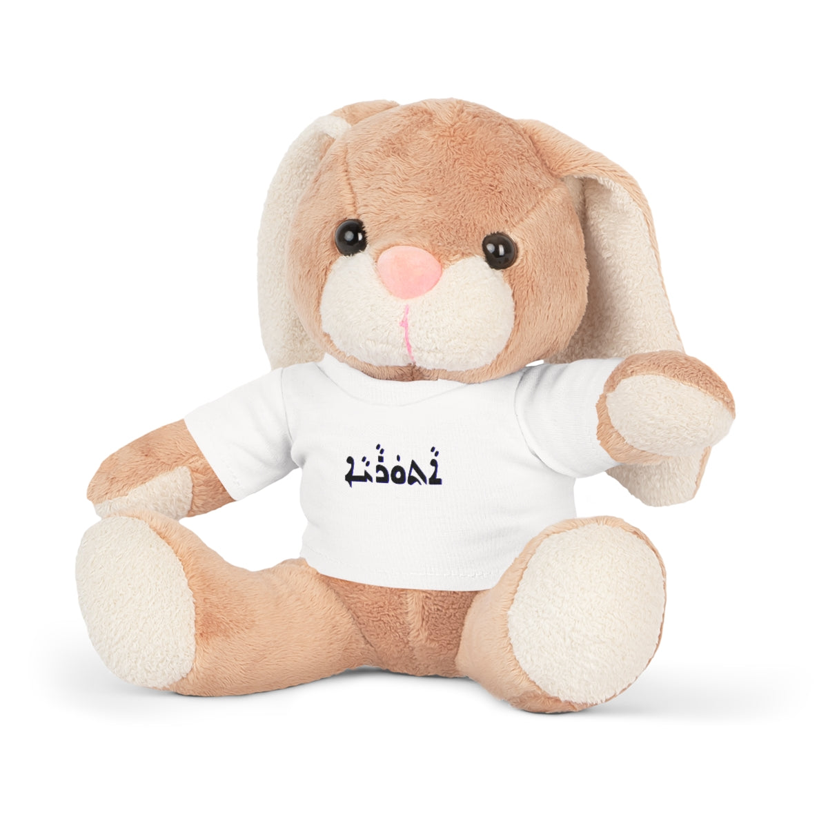 Aturaya - Assyrian Script on Plush Toy with T-Shirt