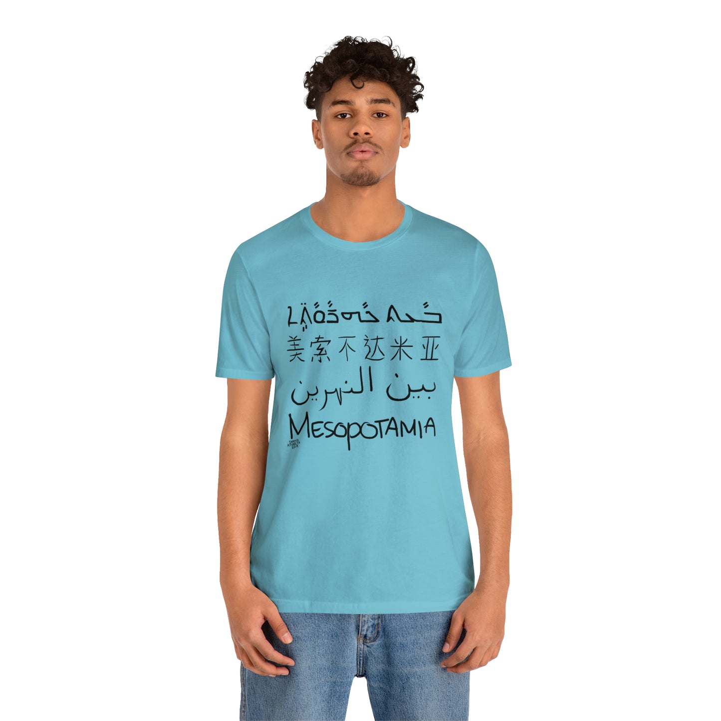 Mesopotamia Rosetta - Unisex Cotton T-Shirt