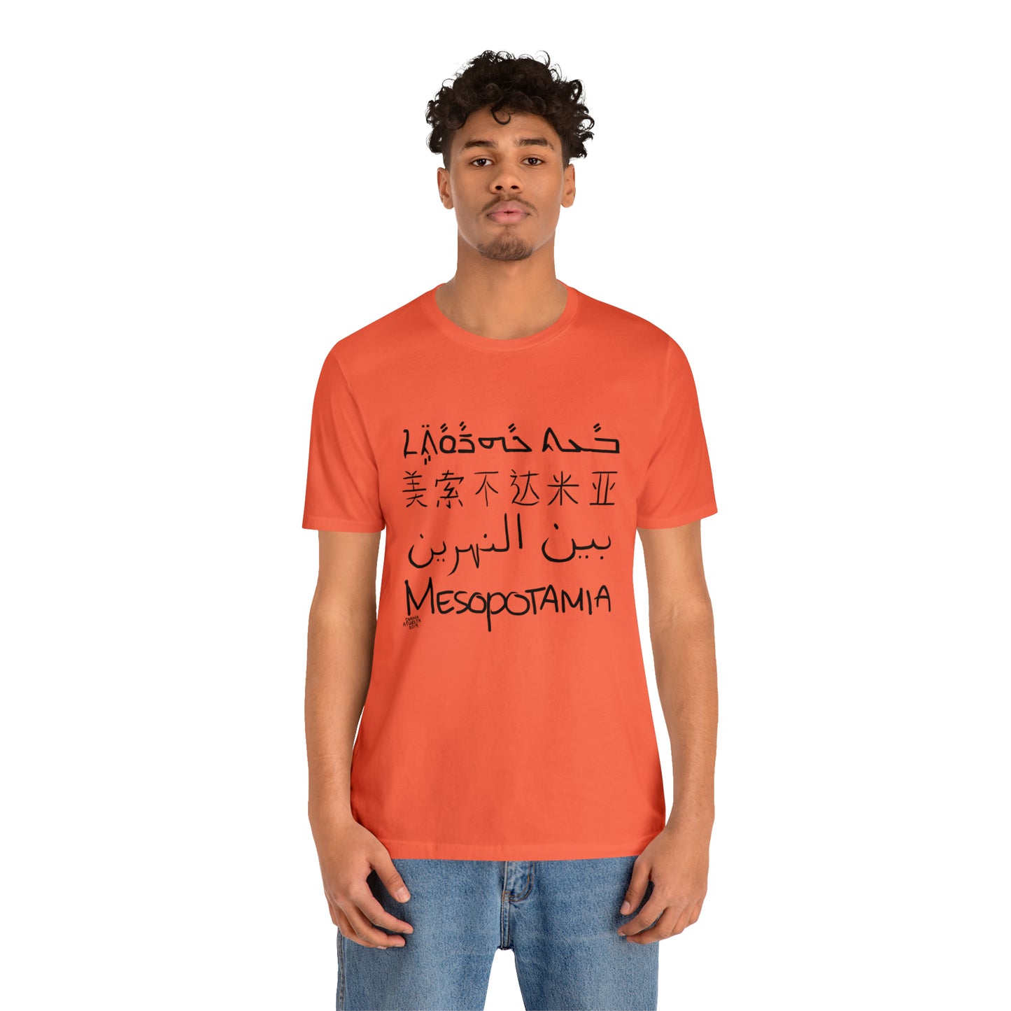 Mesopotamia Rosetta - Unisex Cotton T-Shirt