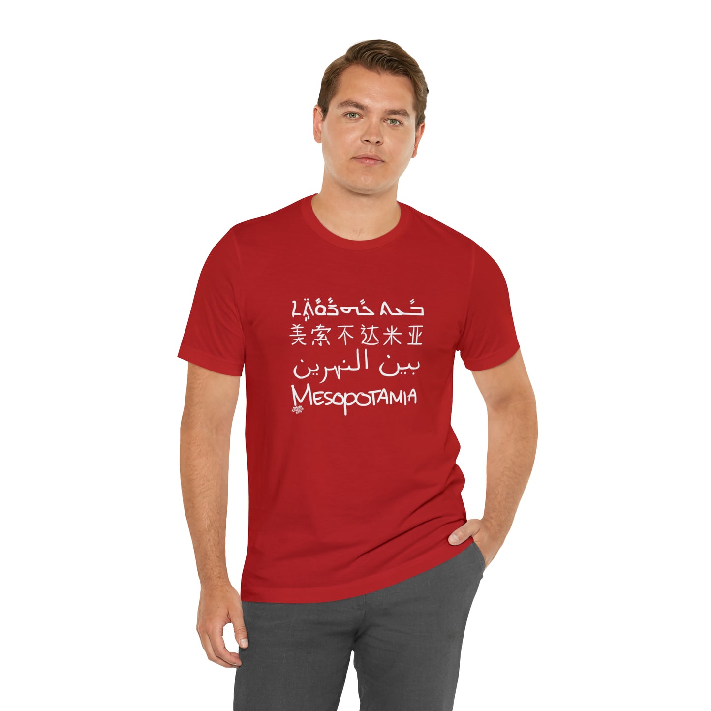 Mesopotamia Rosetta - Unisex Cotton T-Shirt