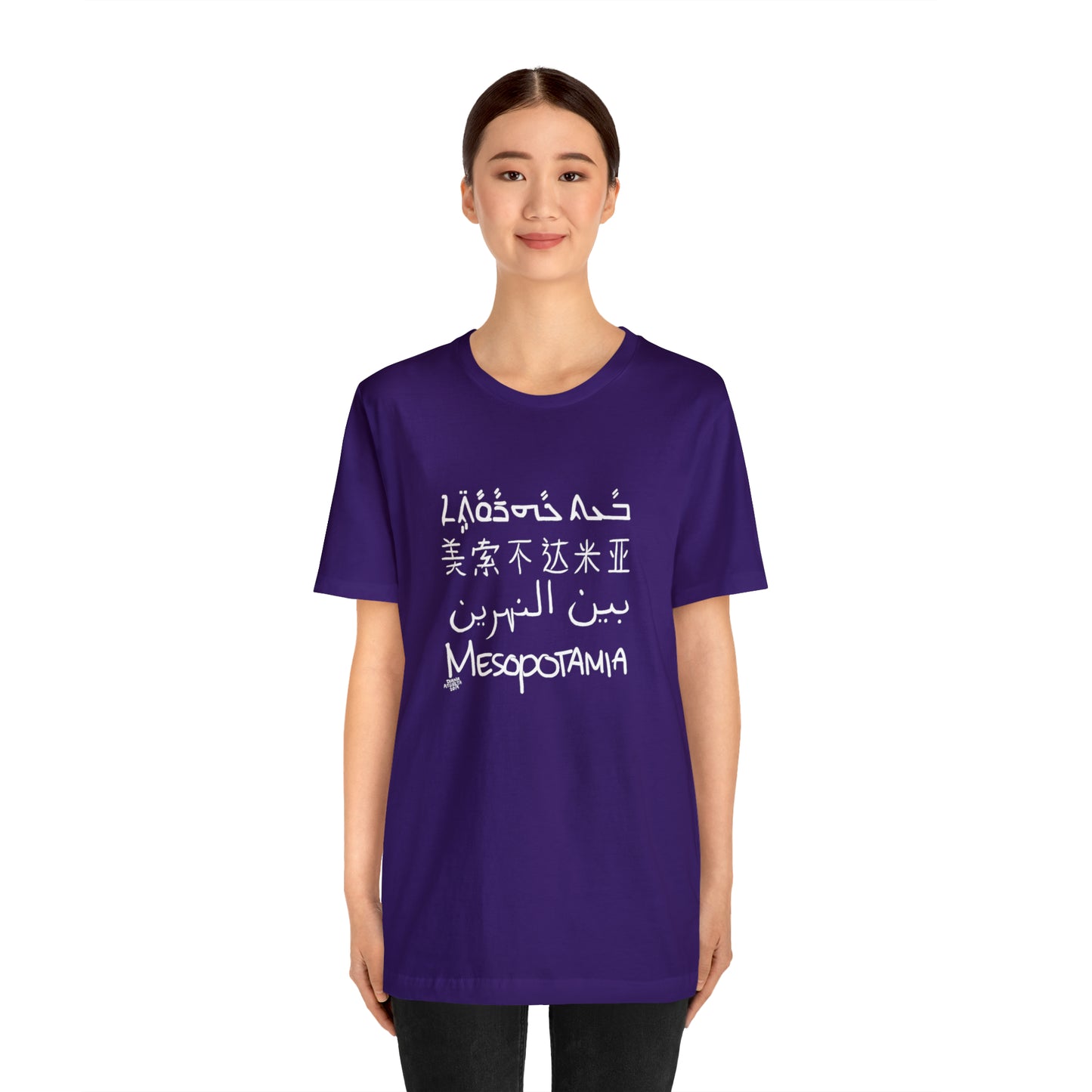 Mesopotamia Rosetta - Unisex Cotton T-Shirt