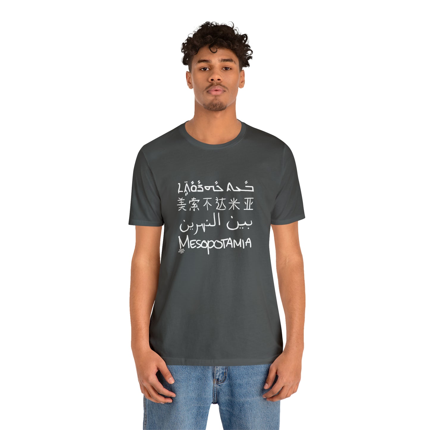 Mesopotamia Rosetta - Unisex Cotton T-Shirt