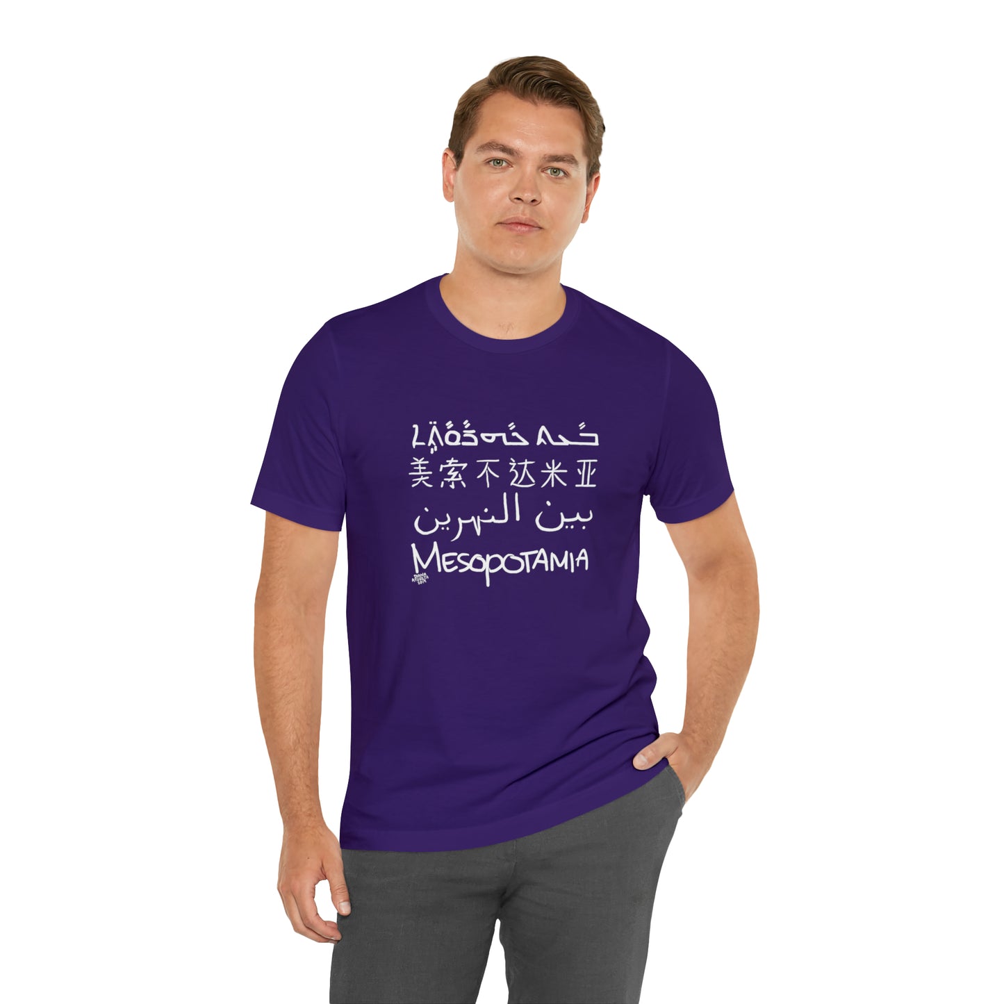 Mesopotamia Rosetta - Unisex Cotton T-Shirt
