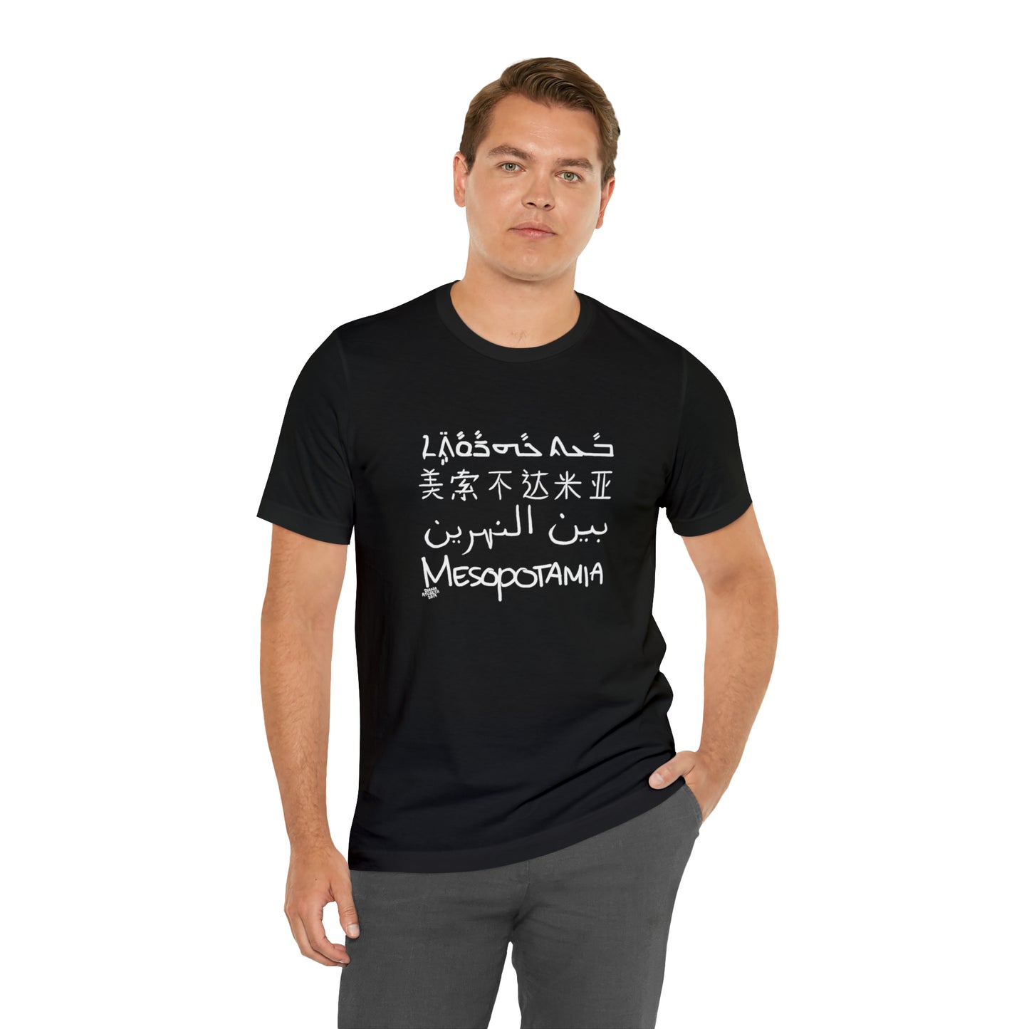Mesopotamia Rosetta - Unisex Cotton T-Shirt