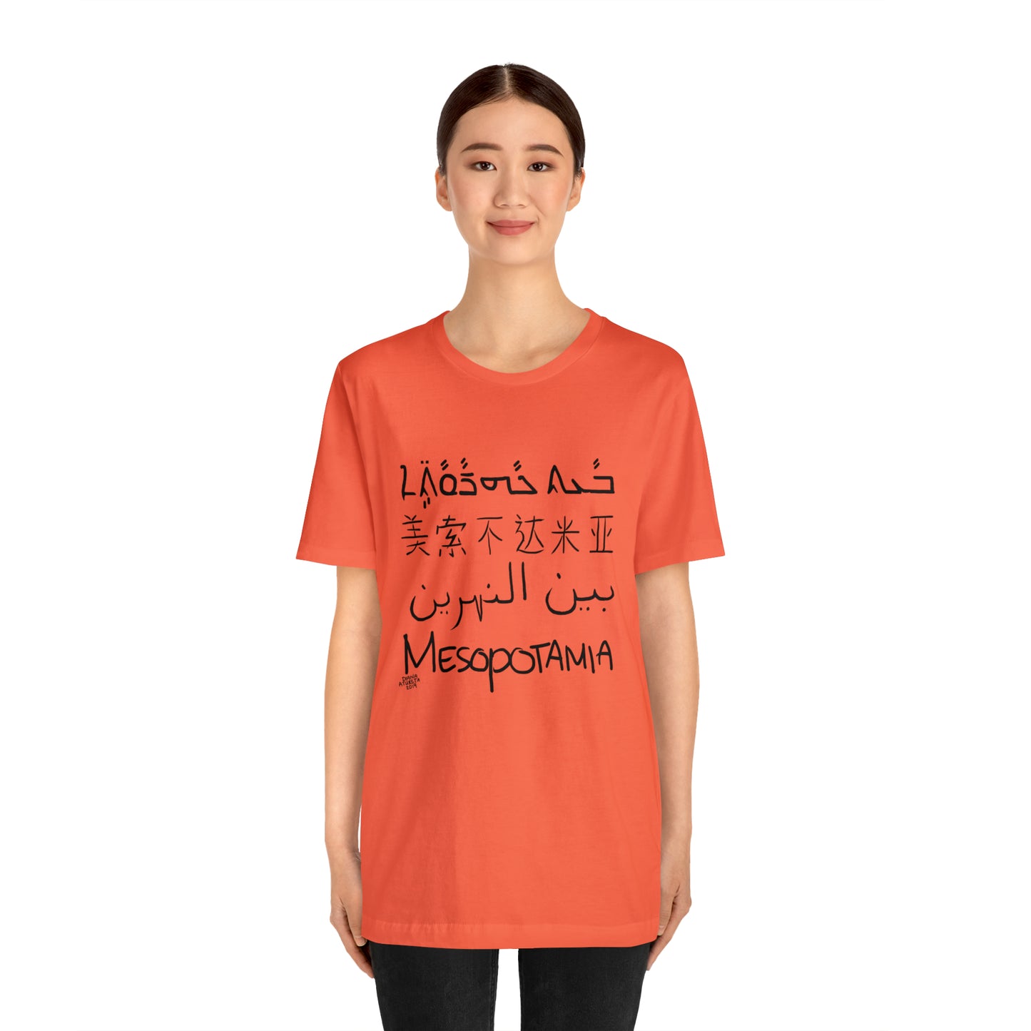 Mesopotamia Rosetta - Unisex Cotton T-Shirt
