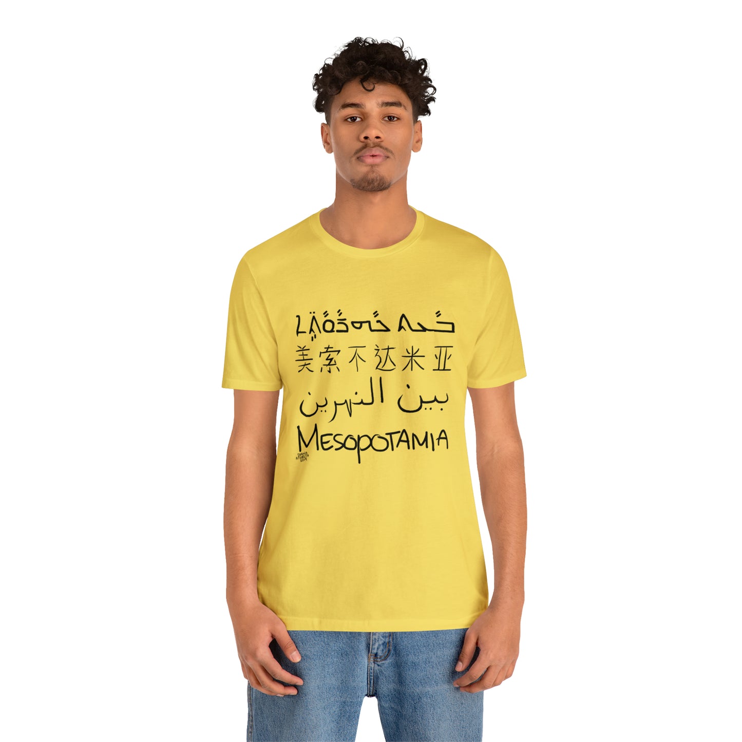 Mesopotamia Rosetta - Unisex Cotton T-Shirt