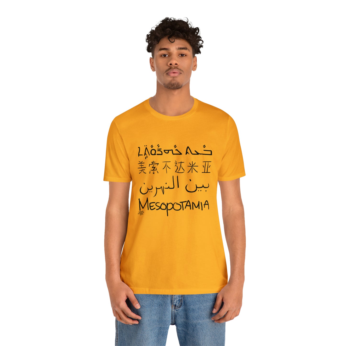 Mesopotamia Rosetta - Unisex Cotton T-Shirt