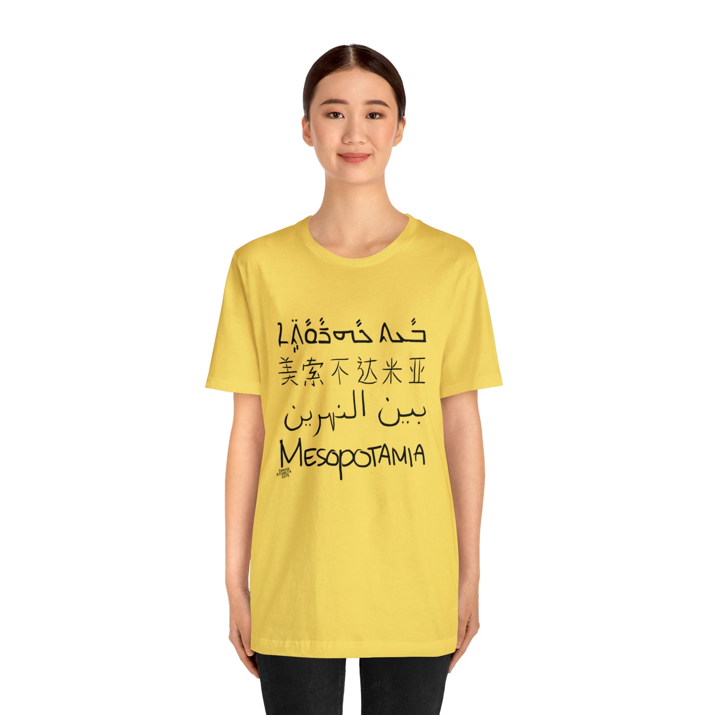 Mesopotamia Rosetta - Unisex Cotton T-Shirt