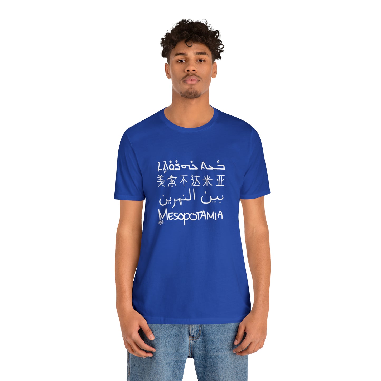 Mesopotamia Rosetta - Unisex Cotton T-Shirt