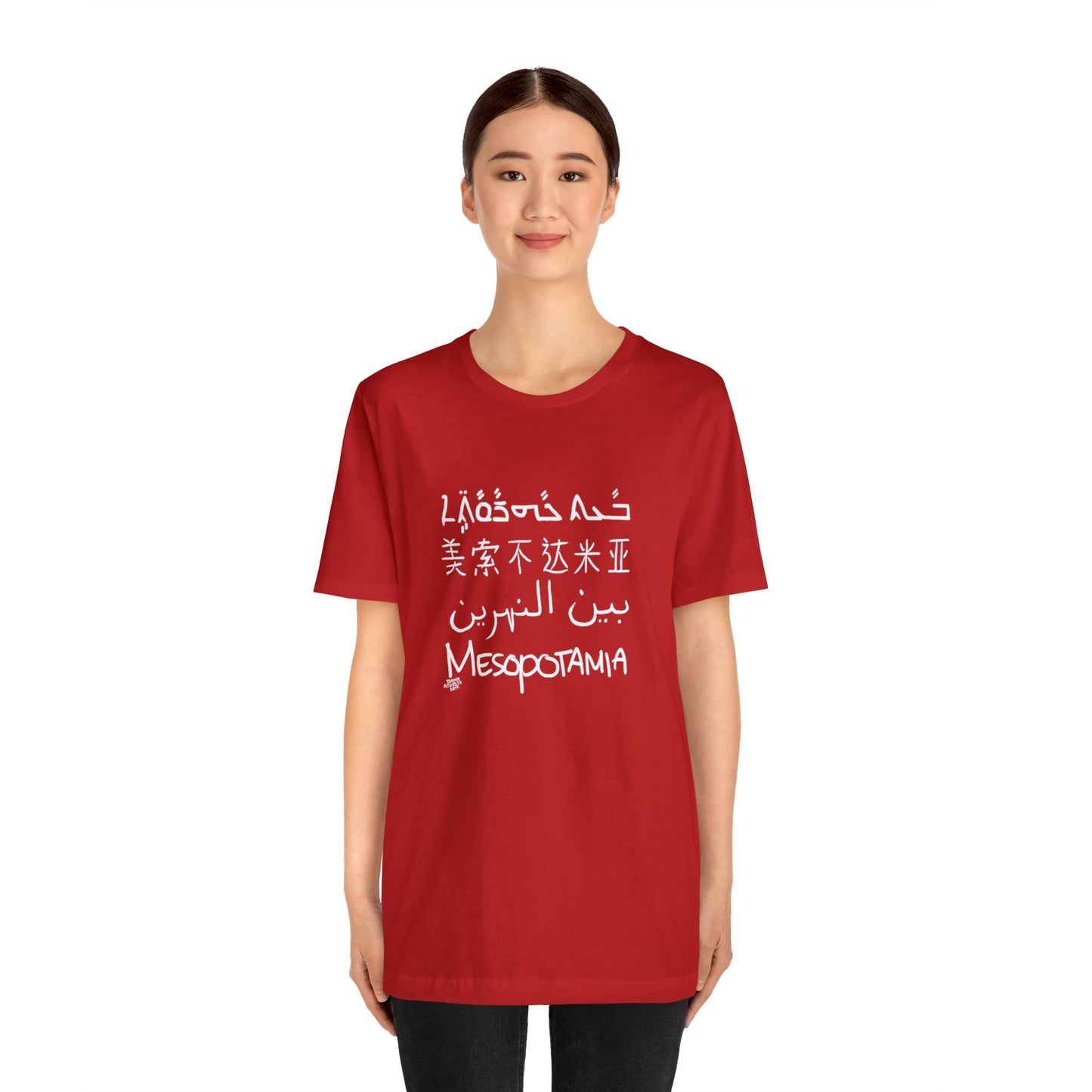 Mesopotamia Rosetta - Unisex Cotton T-Shirt