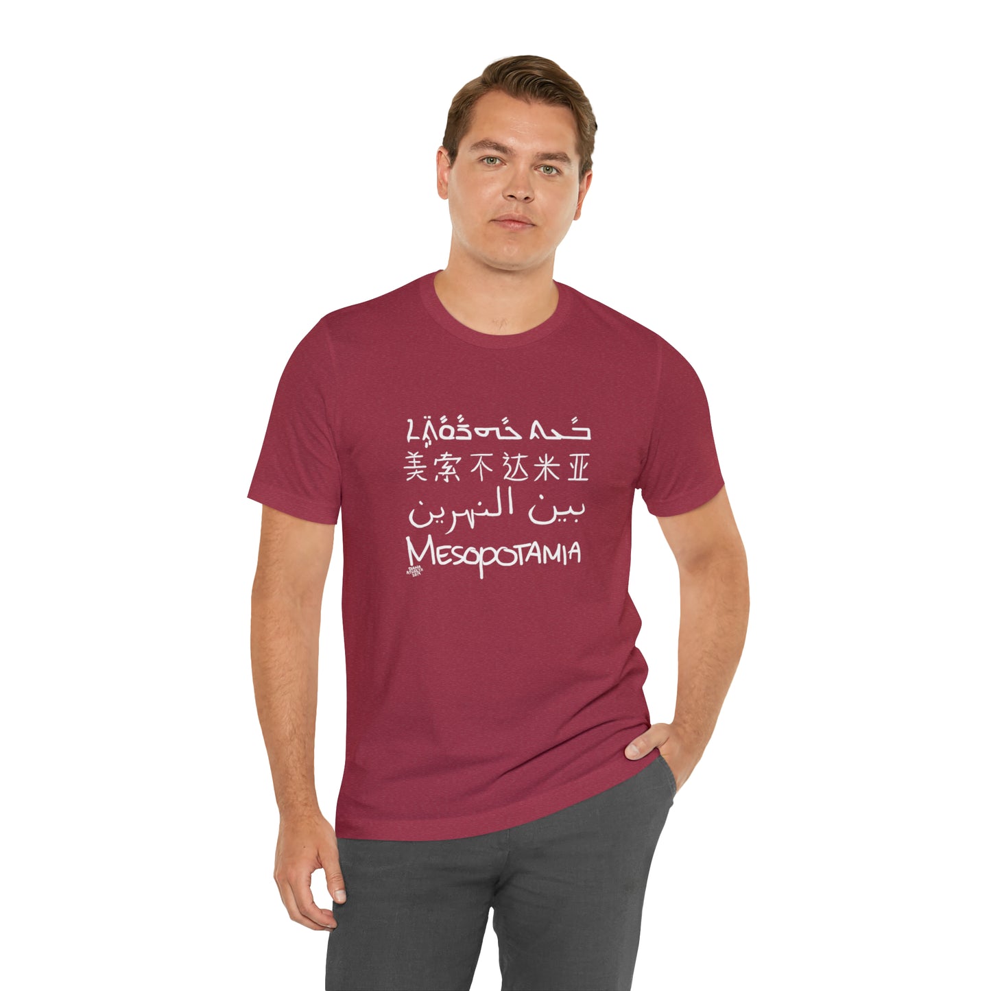 Mesopotamia Rosetta - Unisex Cotton T-Shirt