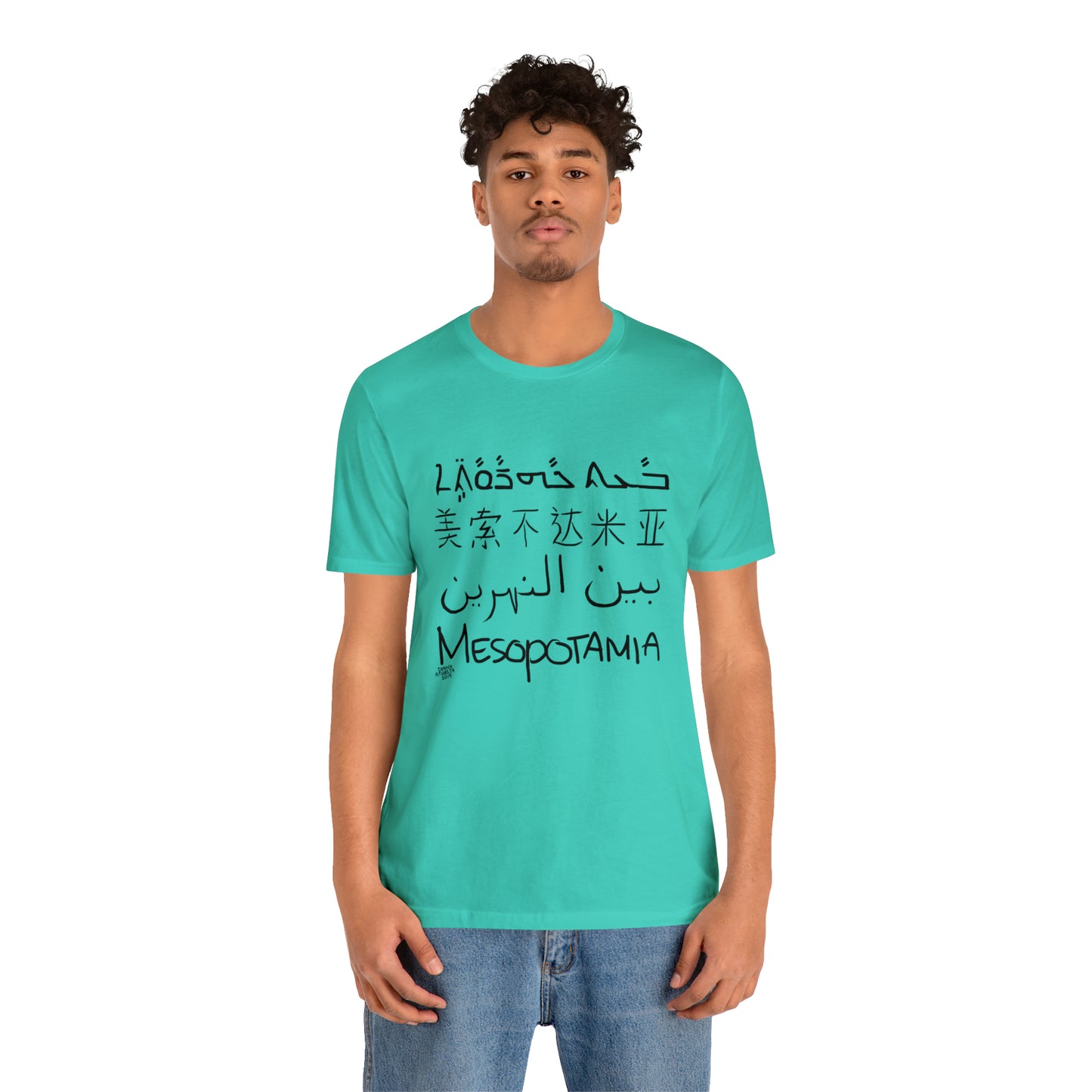 Mesopotamia Rosetta - Unisex Cotton T-Shirt