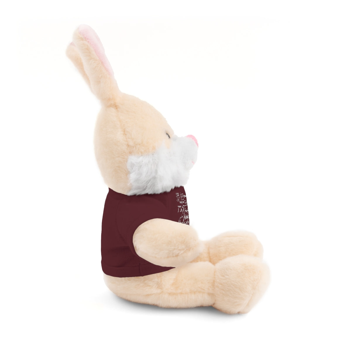 Assyria Around the World - Stuffed Animals with Tee