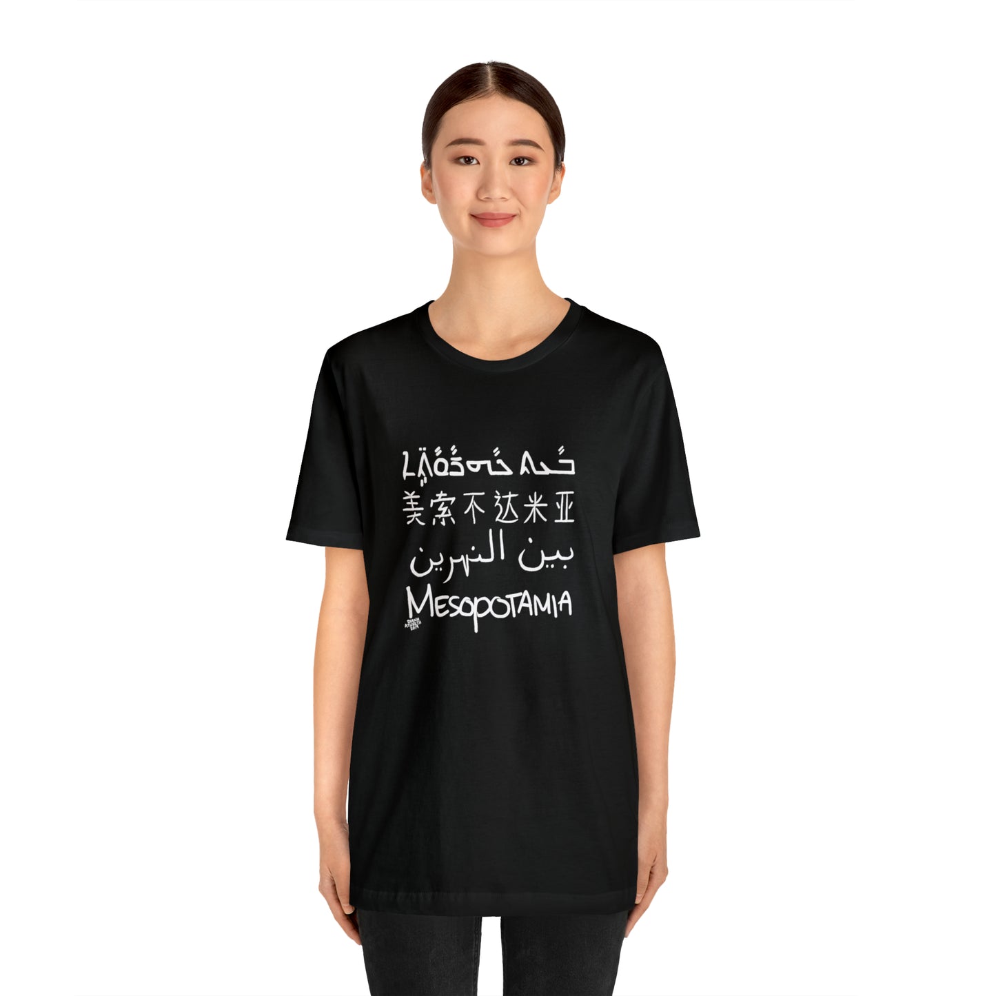 Mesopotamia Rosetta - Unisex Cotton T-Shirt