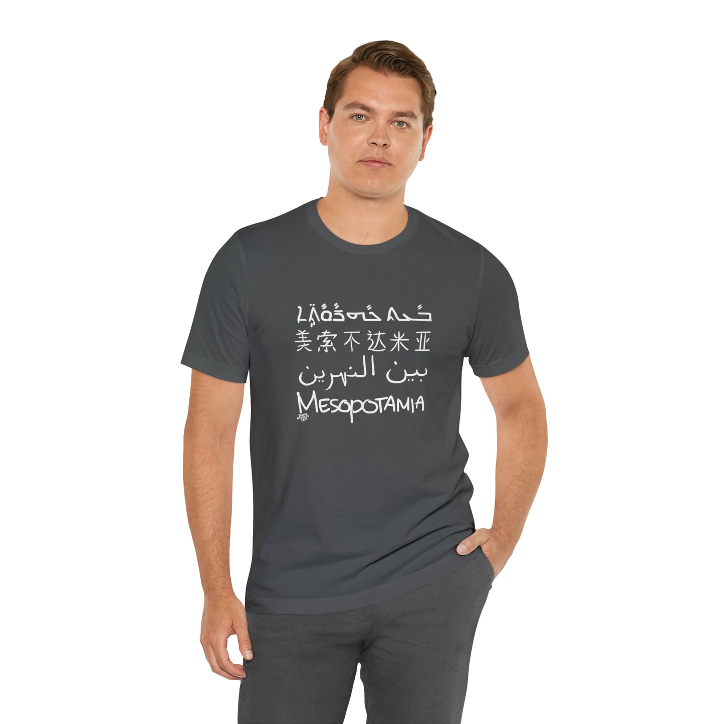 Mesopotamia Rosetta - Unisex Cotton T-Shirt