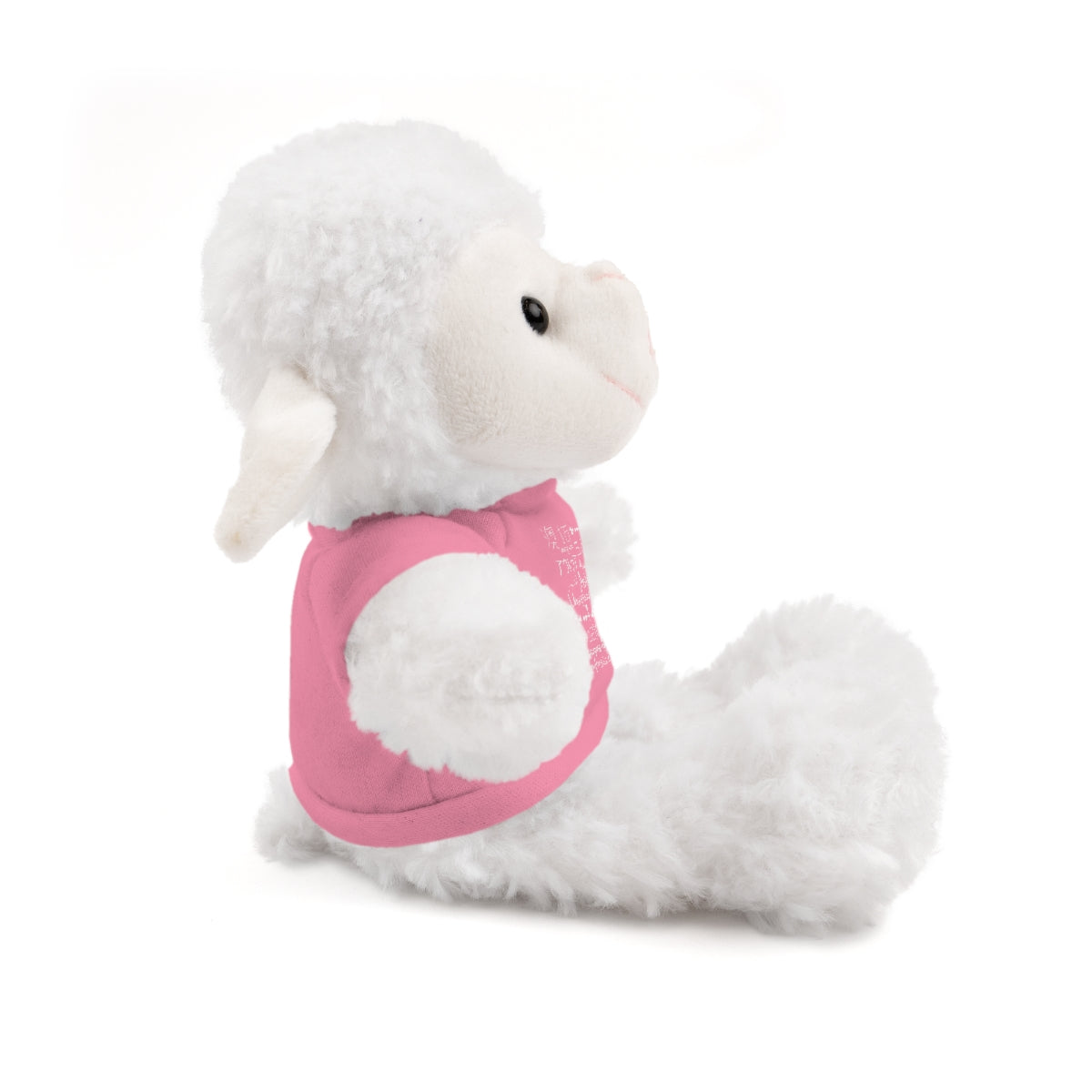Assyria Around the World - Stuffed Animals with Tee