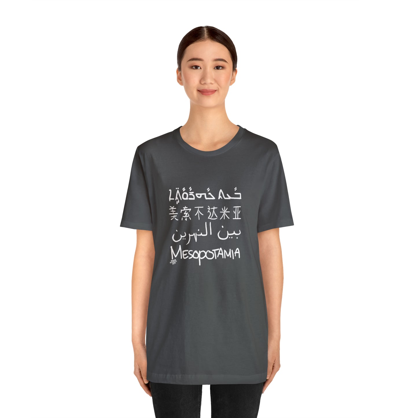 Mesopotamia Rosetta - Unisex Cotton T-Shirt