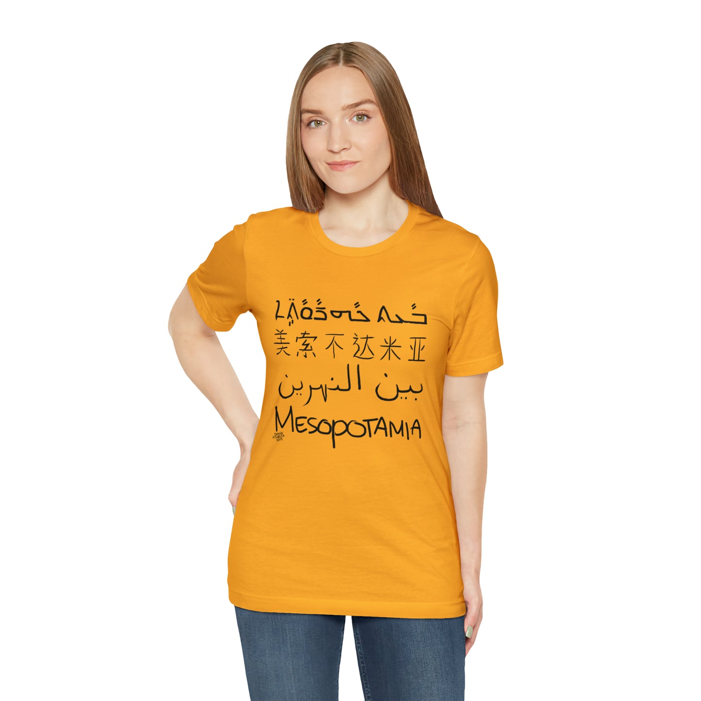 Mesopotamia Rosetta - Unisex Cotton T-Shirt