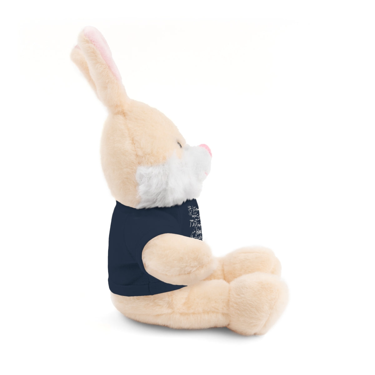 Assyria Around the World - Stuffed Animals with Tee