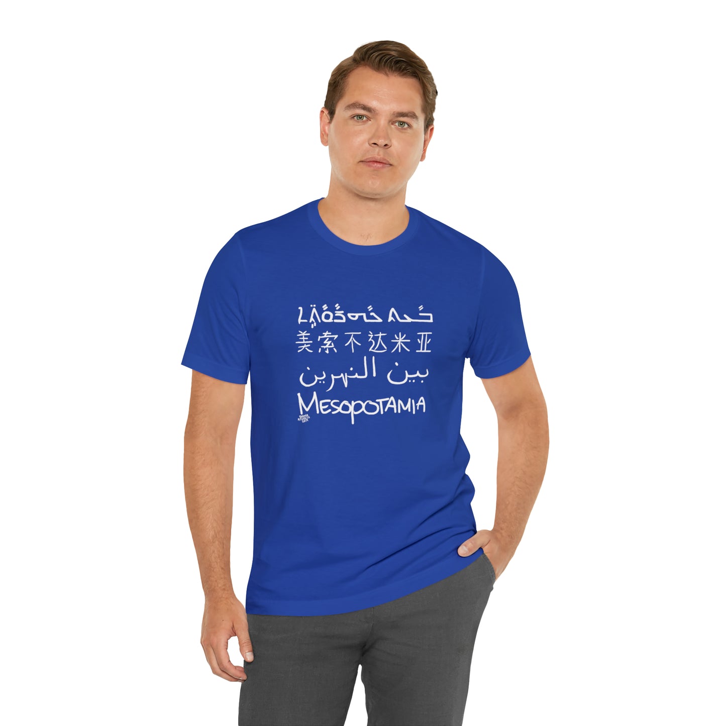 Mesopotamia Rosetta - Unisex Cotton T-Shirt