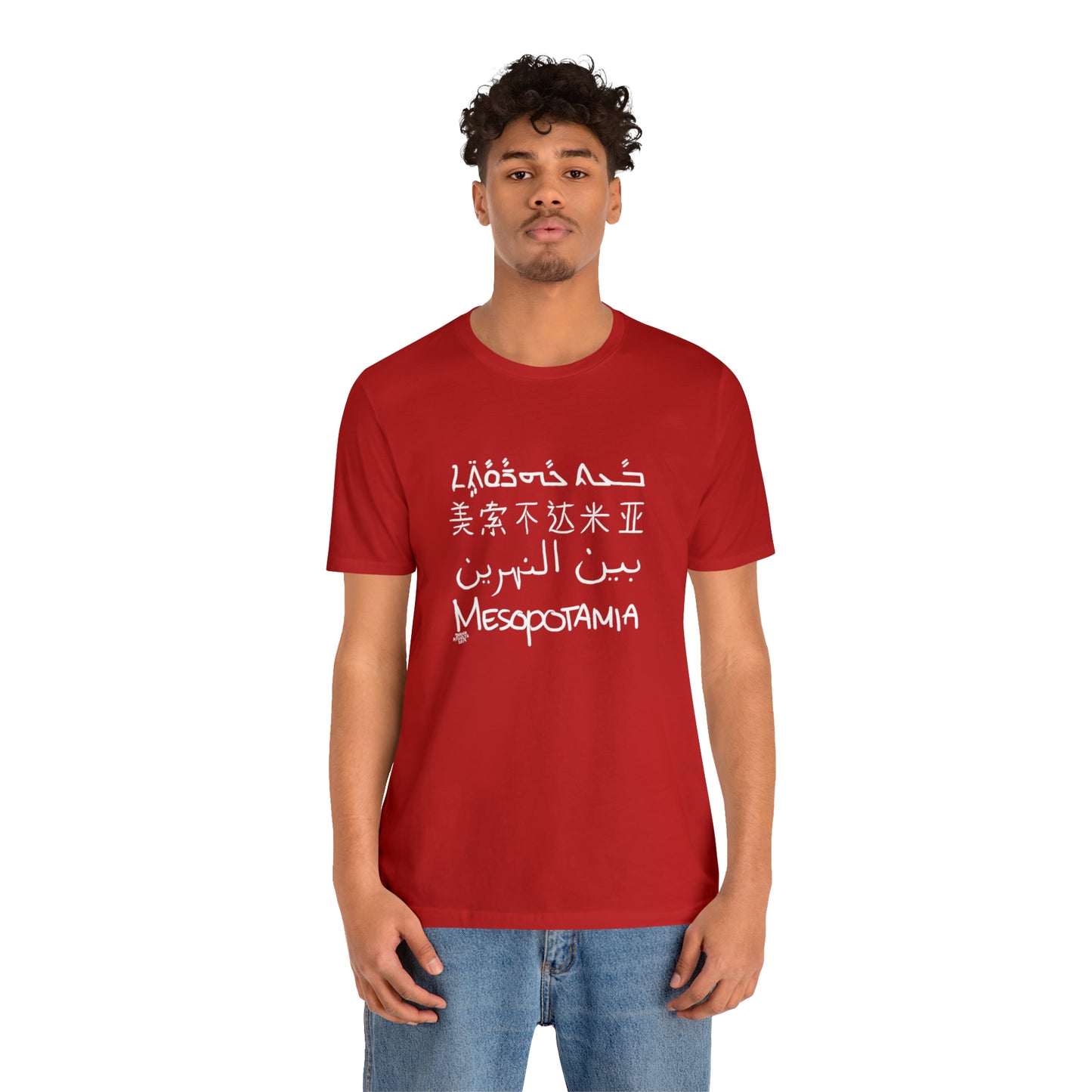 Mesopotamia Rosetta - Unisex Cotton T-Shirt