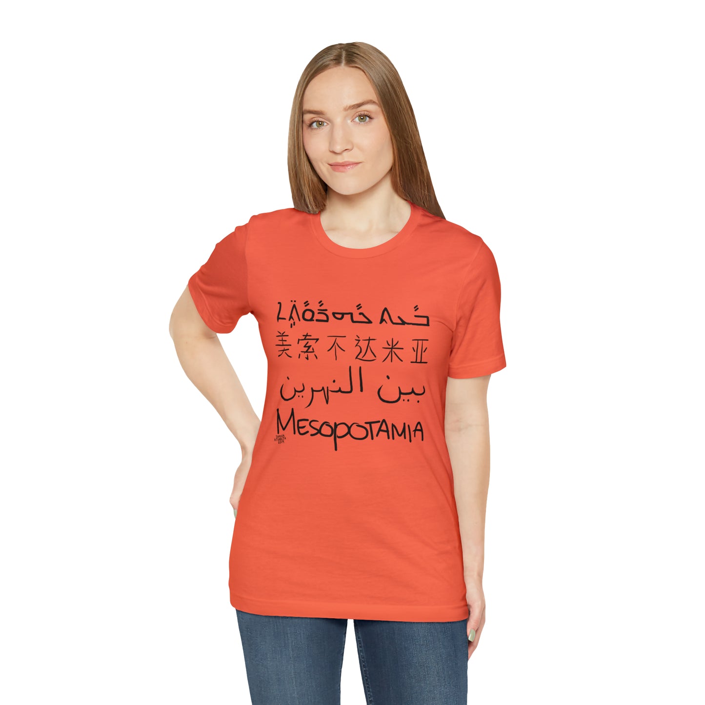 Mesopotamia Rosetta - Unisex Cotton T-Shirt